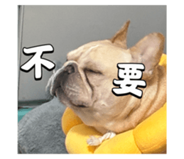 795423082