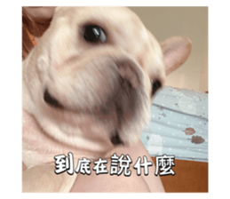 795423087