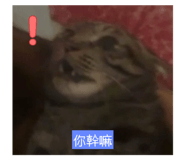 795426633