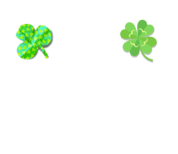 795433356