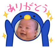 795433772