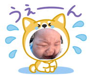 795433779
