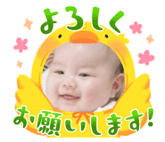 795433780