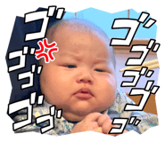 795433790