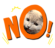 795436229