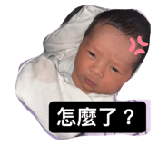 795437393