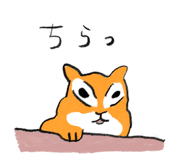 795444612