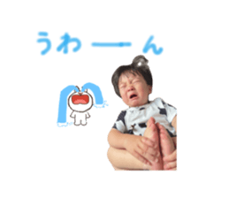 795445623