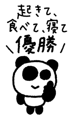 795458328