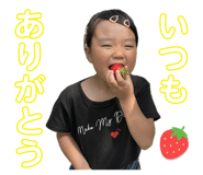 795461368