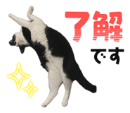 795461376