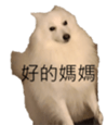795467009