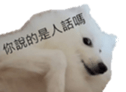 795467010
