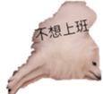 795467011