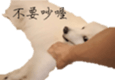 795467012