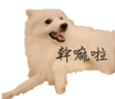 795467014