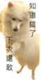795467016