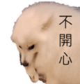 795467019
