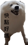 795467020