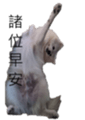 795467021