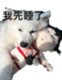 795467022