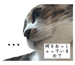 795476738