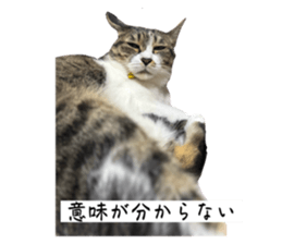 795476739