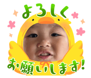 795478440