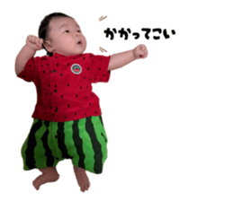 795481290