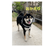 795482425