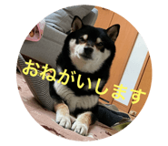 795482428