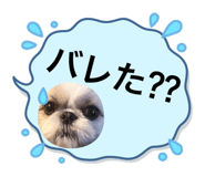 795483817