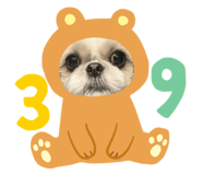 795483818