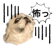 795483819