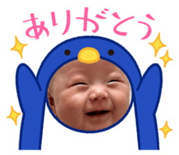 795494398