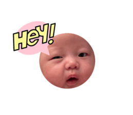 795494411
