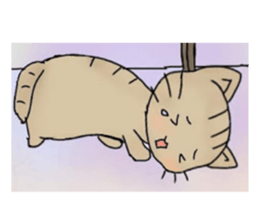 79550186