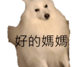 795502009