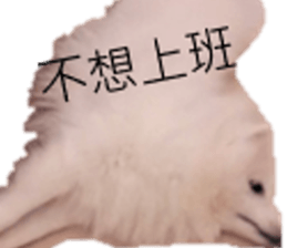 795502011