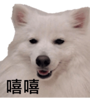 795502013