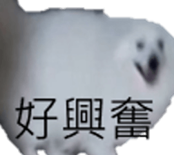 795502016