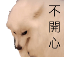 795502017
