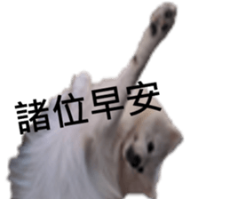 795502019
