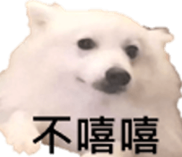 795502020