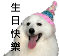 795502022