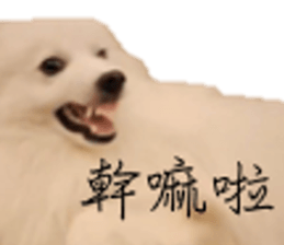 795502024