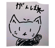 795509280