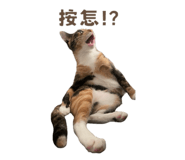 795509530