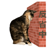 795509534
