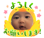 795513493